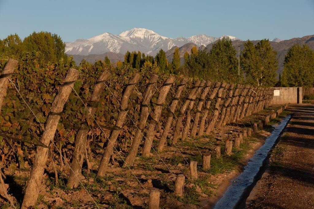 Las CompuertasBodega Durigutti Family Winemakers别墅 外观 照片
