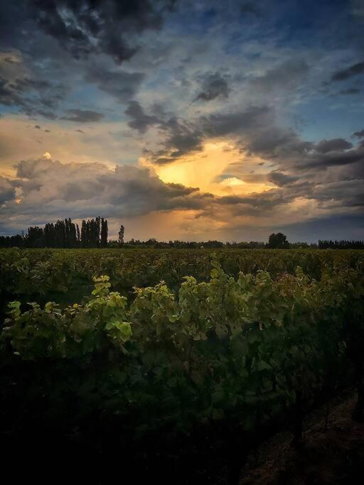 Las CompuertasBodega Durigutti Family Winemakers别墅 外观 照片